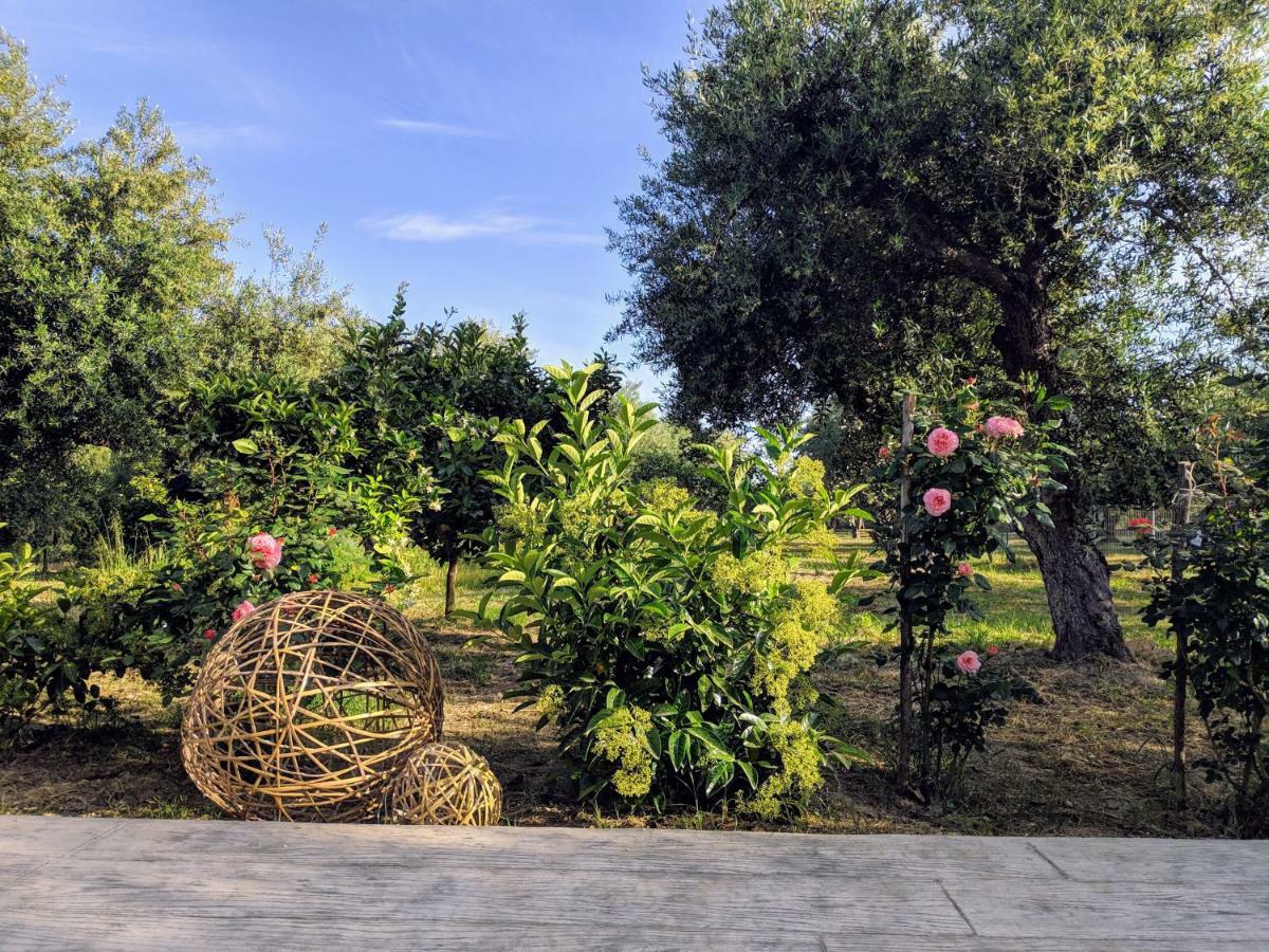 Casa Di Porto Roma Appartement Vasilikí Buitenkant foto